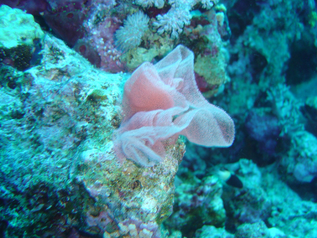 DSC00640