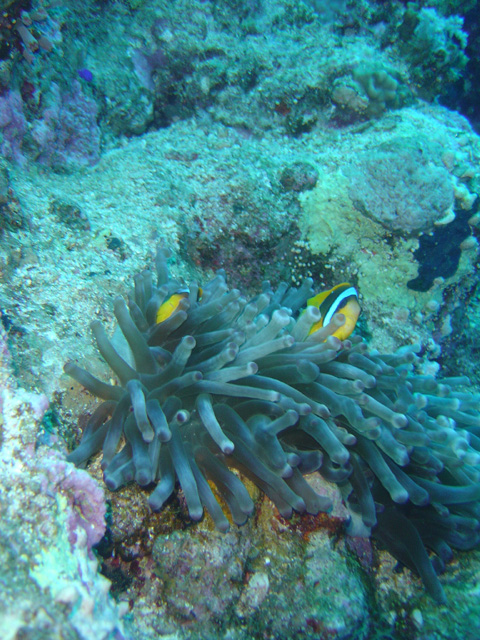 DSC00644