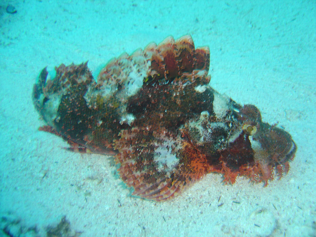 DSC00658