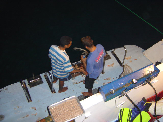 DSC00666