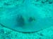 DSC00355