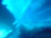 DSC00384