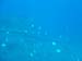 DSC00406