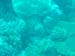 DSC00421