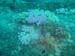 DSC00477
