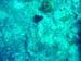 DSC00510