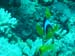 DSC00554