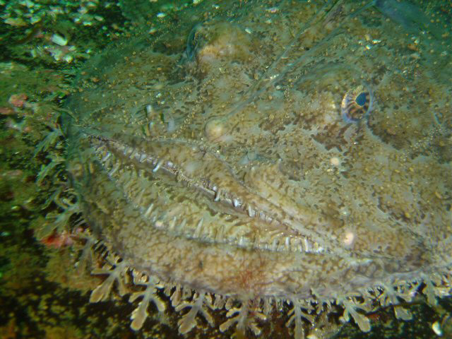 DSC01105