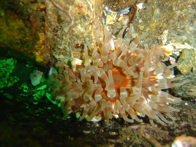 DSC01119