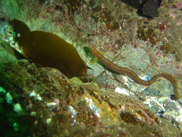 DSC01139