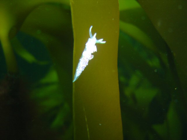DSC01153