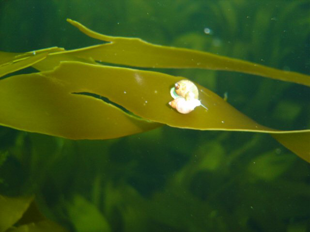 DSC01160