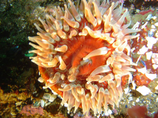 DSC01173