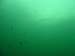 DSC02194