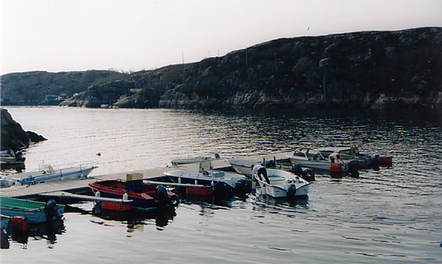 norvt2003-01
