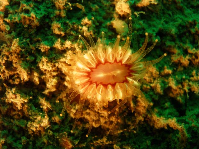P7181206