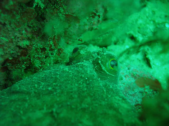 P7181288