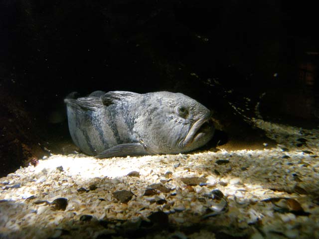 P7100739