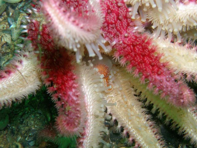 P7110822