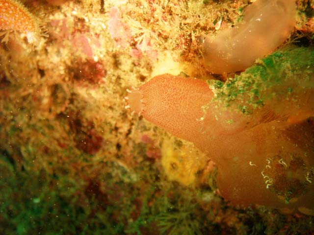 P7120862