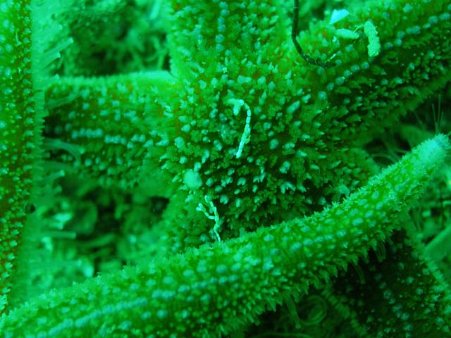 P7120896