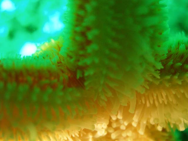P7120900
