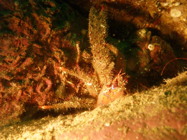 P7120950