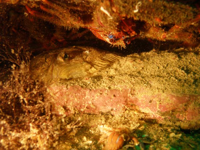P7120951