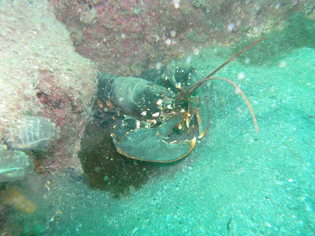 P7130960