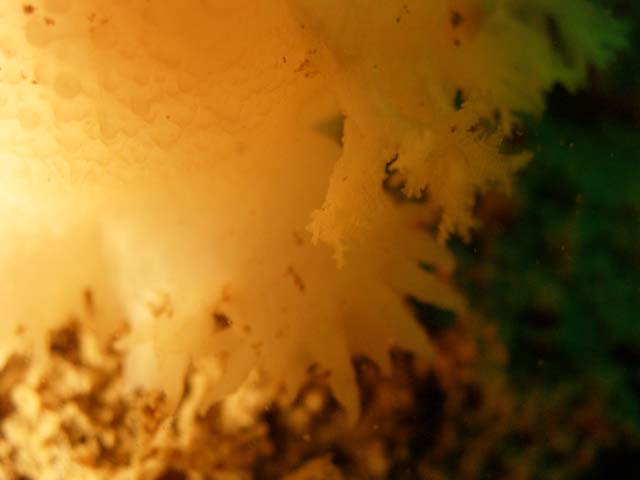 P7130984