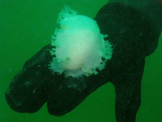 P7130988