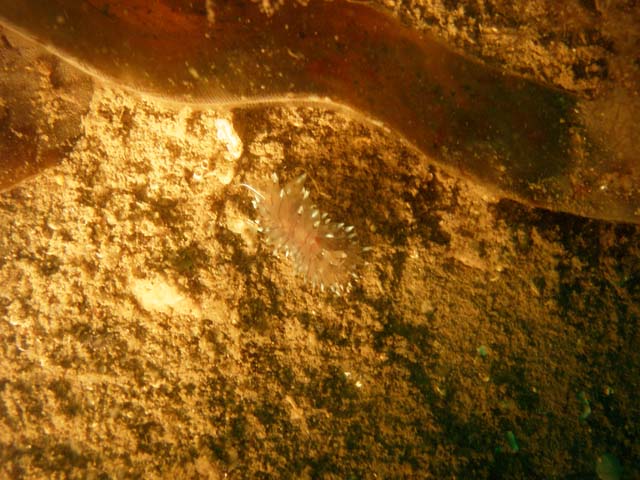 P7141054