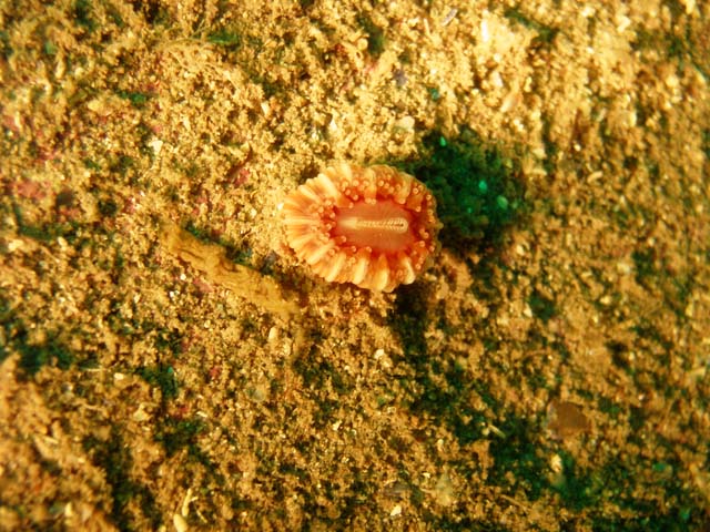 P7141082