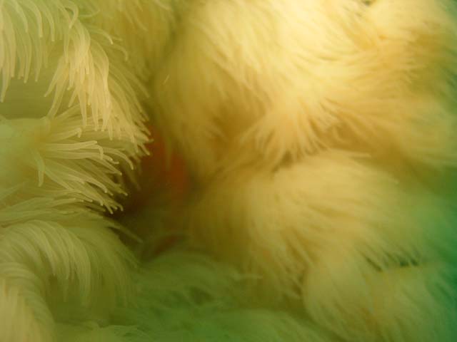 P7141096