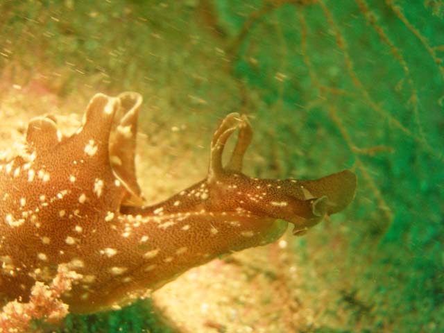 P7141116