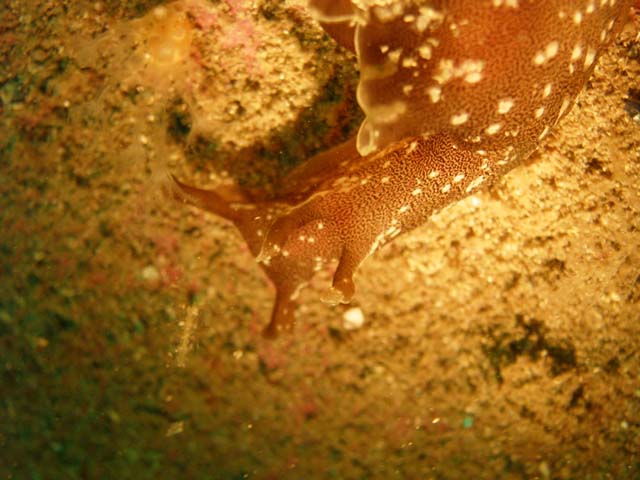 P7141121