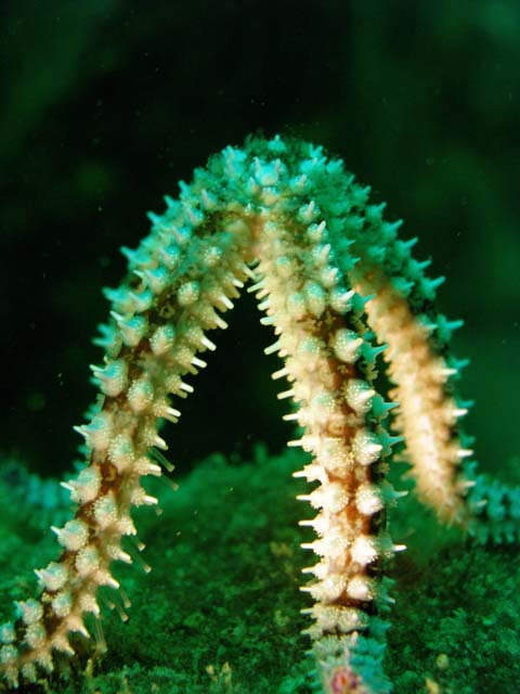 P7141150