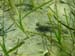P7100723