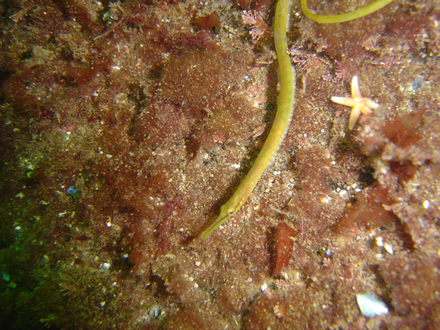 DSC01609