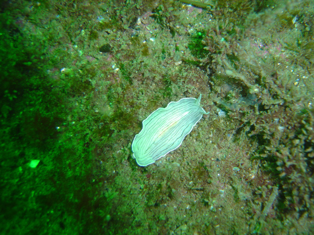 DSC01635
