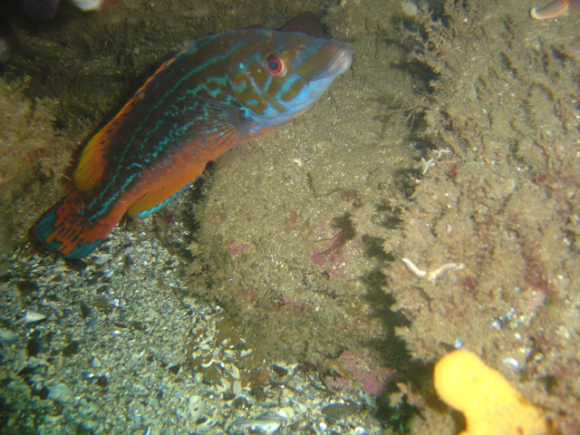 DSC01690