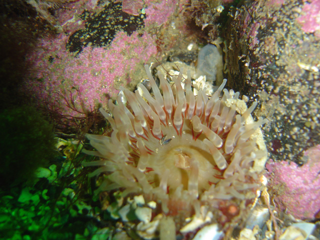 DSC01715