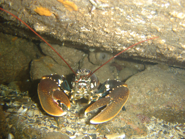 DSC01760