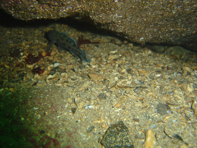 DSC01771