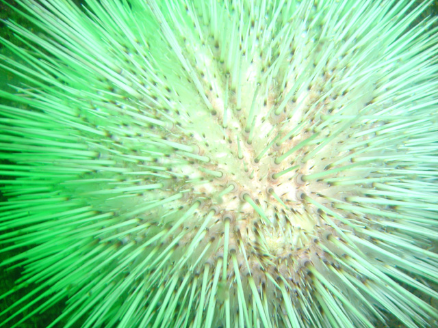 DSC01784