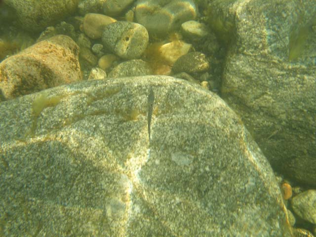 P7020428