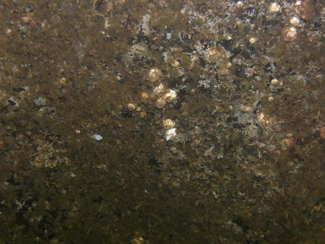 P7020471