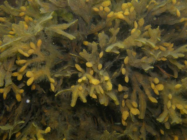 P7020484
