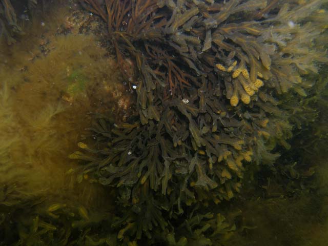 P7020489