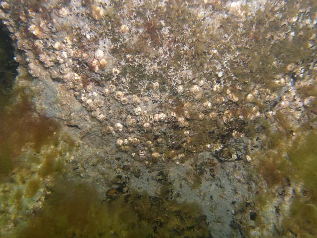 P7020493